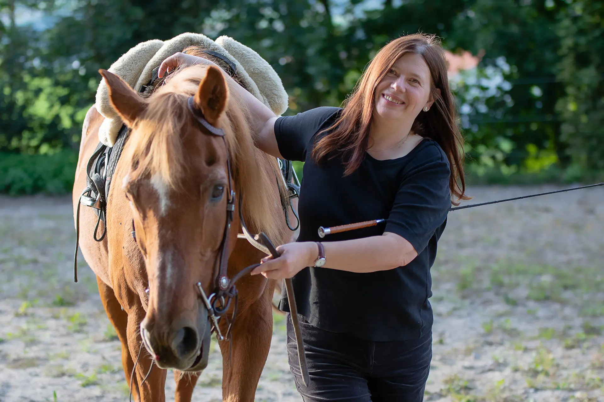 Pferd und Mensch im Kontakt